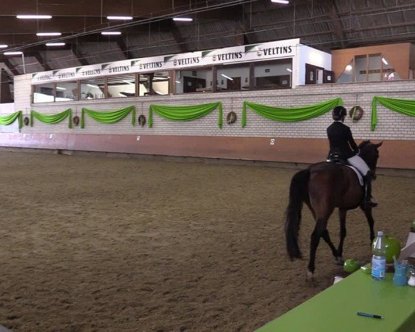 Reitturnier Hellefeld 2024