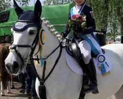 jumper Rosemount Blaze (Pony without race description, 2010)