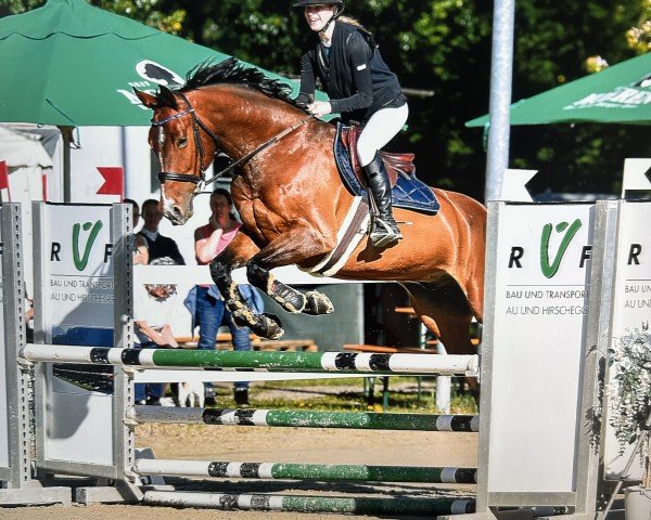 jumper Forever Figaro Rz (German Sport Horse, 2018, from For Freedom Ekt)