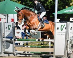 Springpferd Forever Figaro Rz (Deutsches Sportpferd, 2018, von For Freedom Ekt)