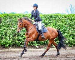 broodmare Cap Askara (German Sport Horse, 2017, from Cappucino)