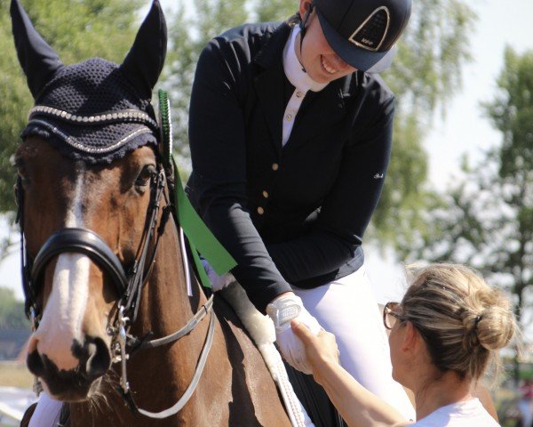 dressage horse First Class (Westphalian, 2013, from Fuego du Prelet)