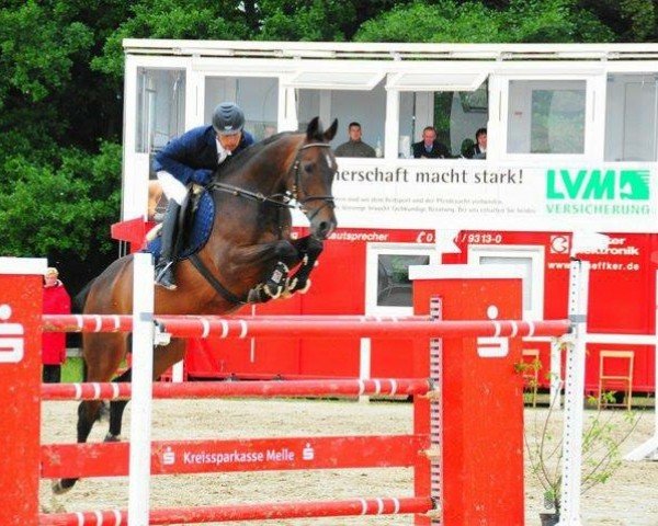 jumper German Grace (Hanoverian, 1999, from Glueckspilz)