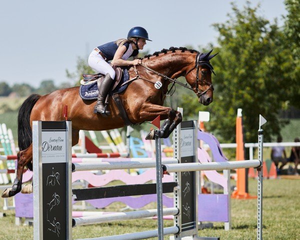 jumper Lord Liberty 29 (Holsteiner, 2016, from Pikeur Lord Fauntleroy)