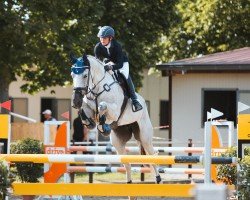jumper Celandra 3 (Oldenburg show jumper, 2017, from Cellestiano)
