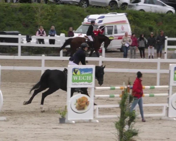 Reitturnier St. Margarethen 2022