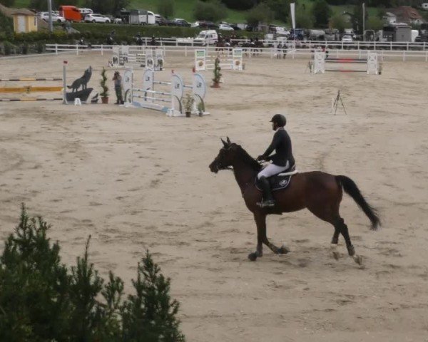 Reitturnier St. Margarethen 2022