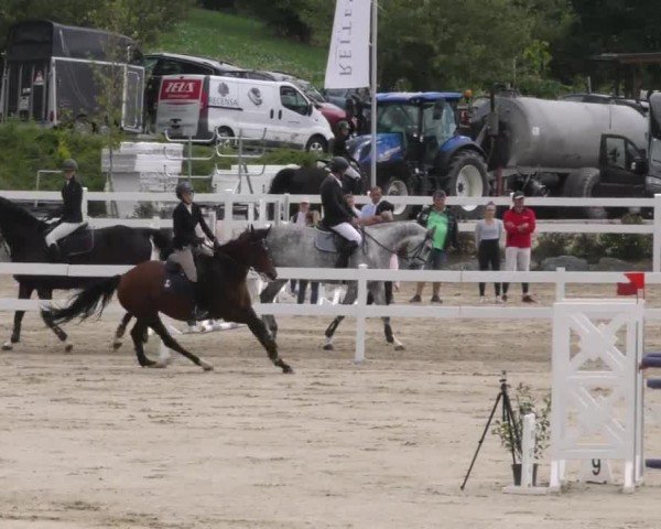 Reitturnier St. Margarethen 2022
