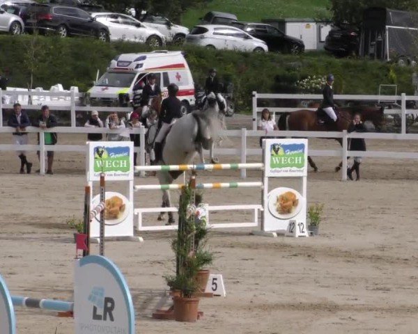 Reitturnier St. Margarethen 2022