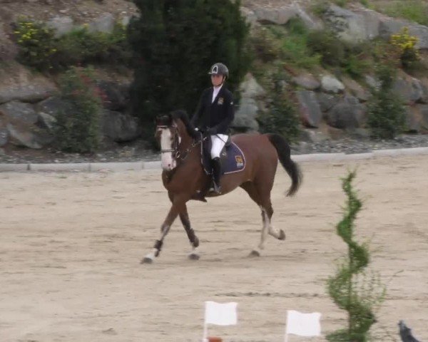 Reitturnier St. Margarethen 2022