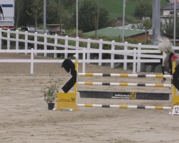 Reitturnier St. Margarethen 2022