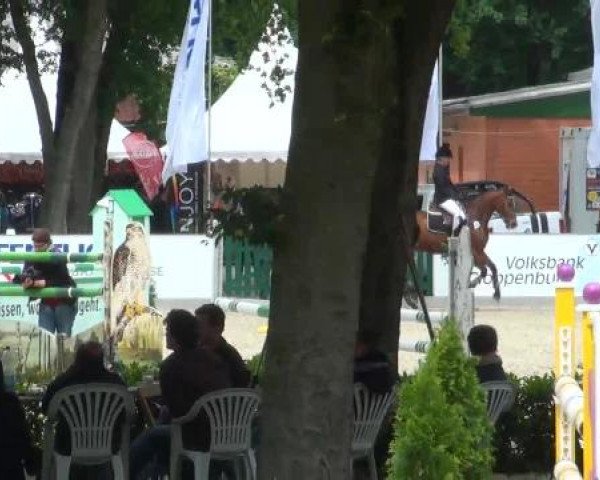 Reitturnier Cloppenburg 2012