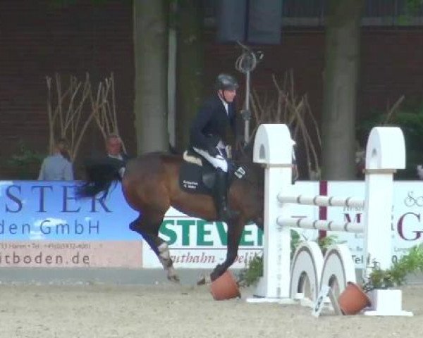 Weser Ems Meisterschaften Cloppenburg 2012