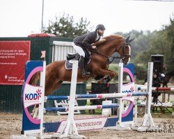 jumper Balou 149 (Polish Warmblood, 1998)