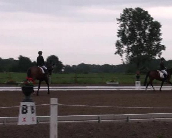 Weser Ems Meisterschaften Cloppenburg 2012