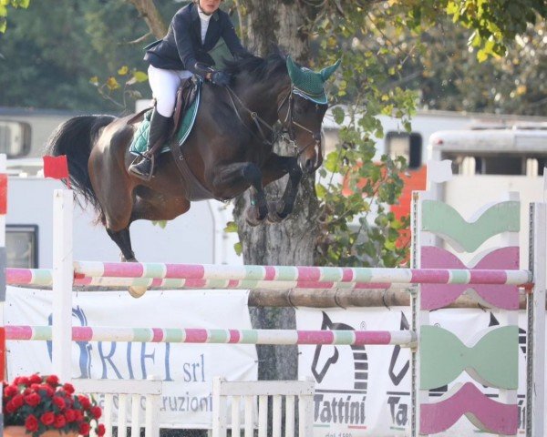 horse Ellinor Rose (unknown, 2014)