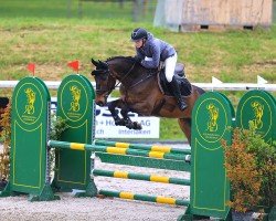 Springpferd Sox Eleven Pj (Hannoveraner, 2018, von Stakkato Gold)