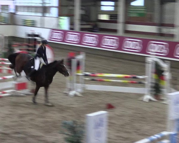 Winter Hallen Reit- und Springturnier, Reithalle Rohmann 2021