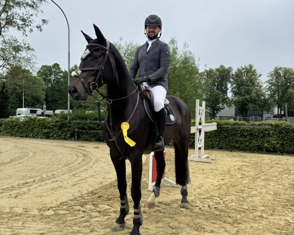 jumper O'Bentley (Holsteiner, 2019, from Origi D'o)