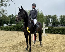 jumper O'Bentley (Holsteiner, 2019, from Origi D'o)