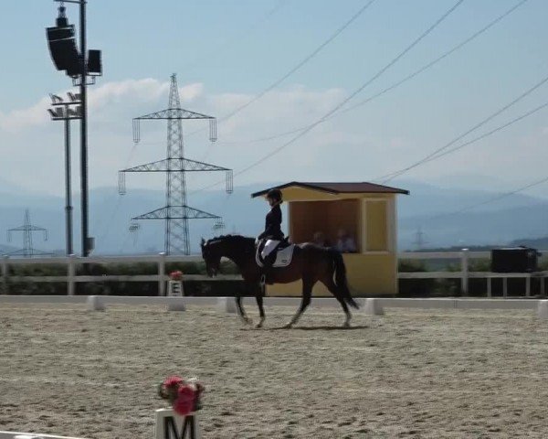 Reitturnier St. Margarethen 2024