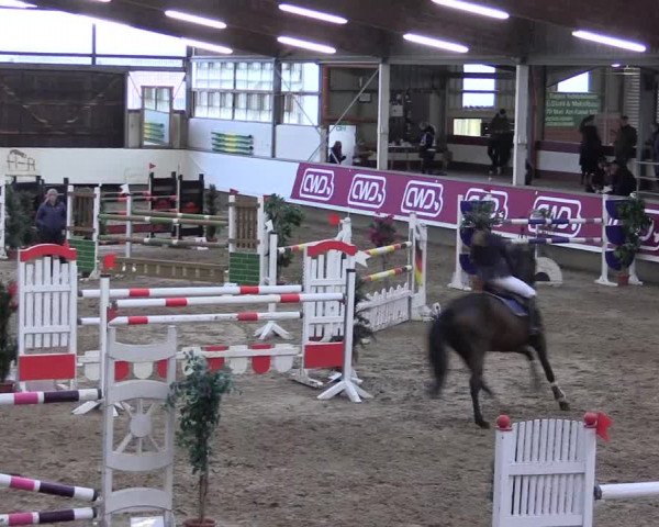 Winter Hallen Reit- und Springturnier, Reithalle Rohmann 2021