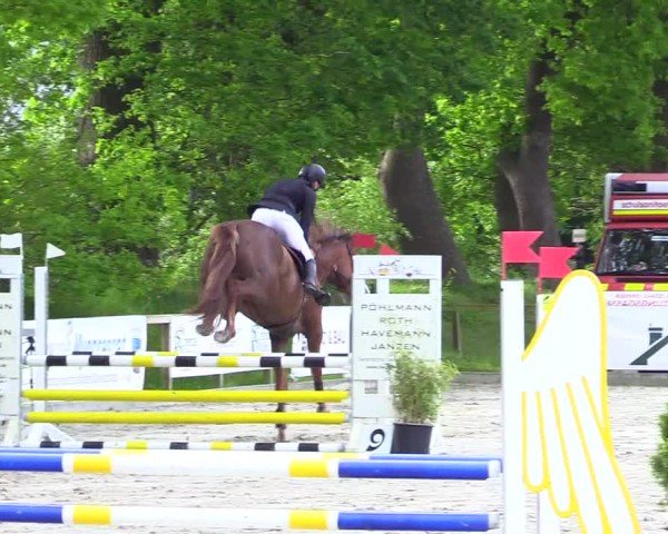 Reitturnier Kropp 2024