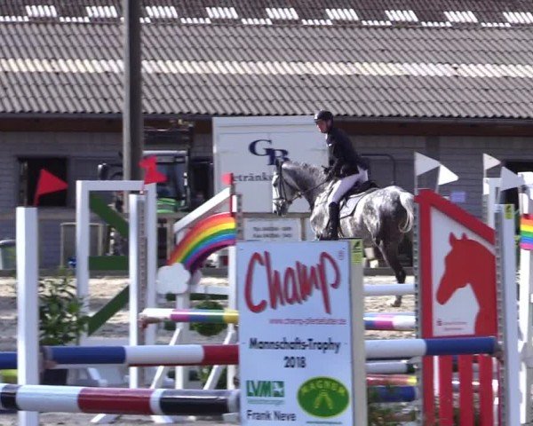 Reitturnier Kropp 2024