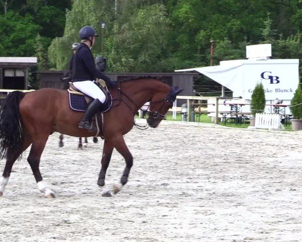 Reitturnier Kropp 2024