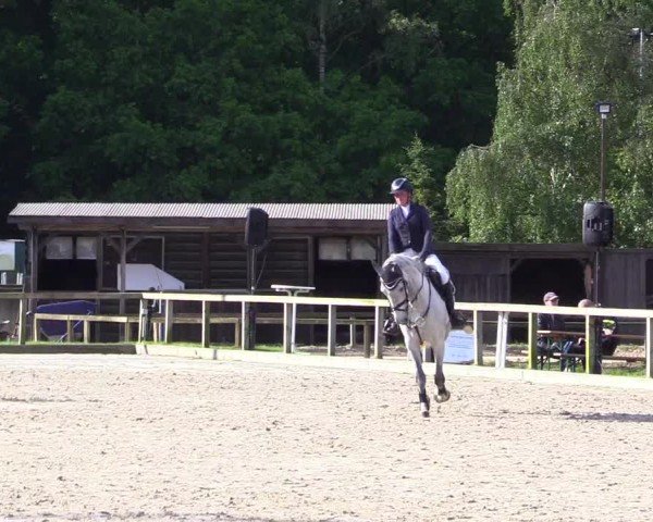 Reitturnier Kropp 2024