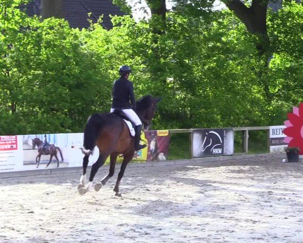 Reitturnier Kropp 2024