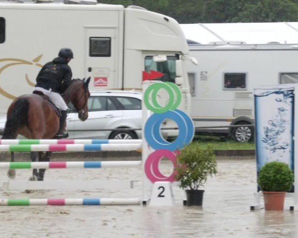 Reitturnier Forst 2024