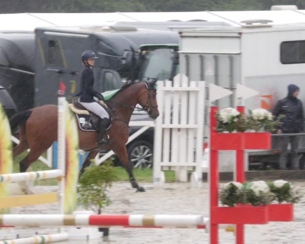 Reitturnier Forst 2024