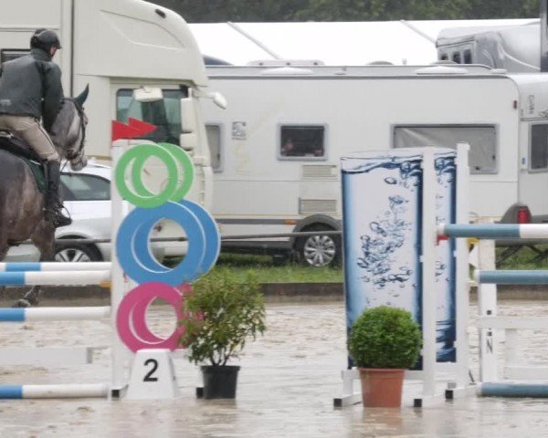 Reitturnier Forst 2024