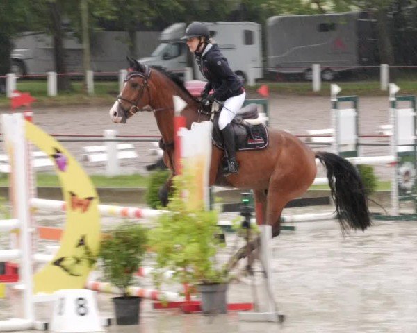 Reitturnier Forst 2024