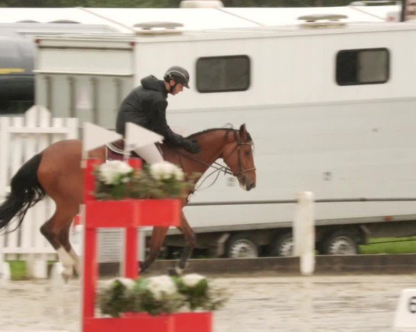 Reitturnier Forst 2024