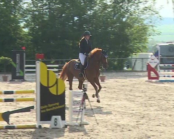 Reitturnier Landenhausen 2024