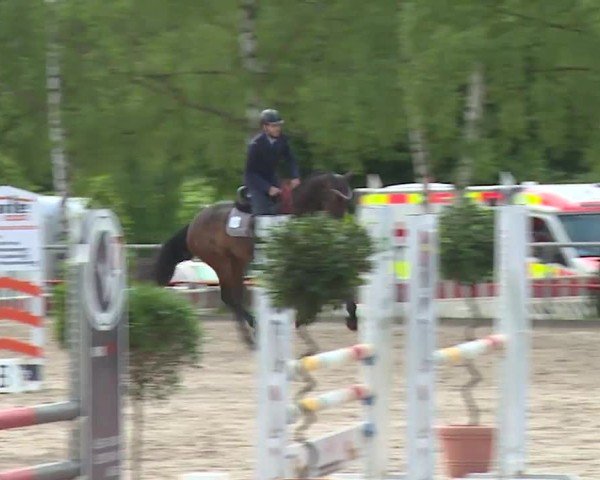 Reitturnier Landenhausen 2024