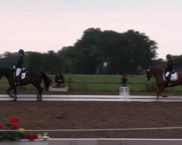 Weser Ems Meisterschaften Cloppenburg 2012