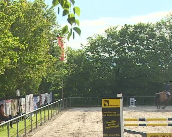 Reitturnier Landenhausen 2024