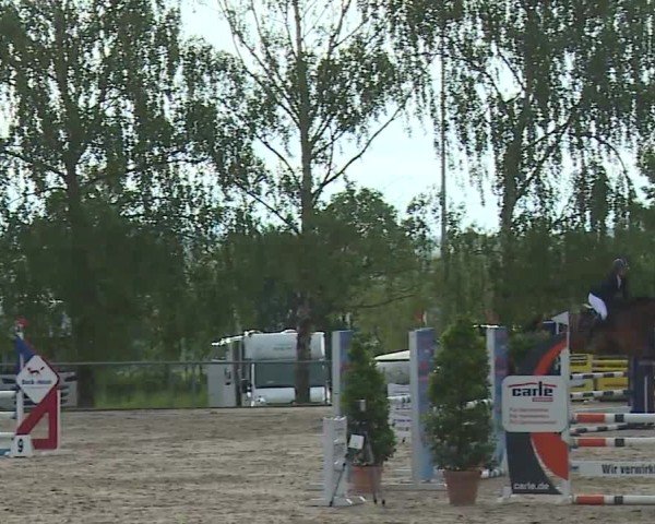Reitturnier Landenhausen 2024
