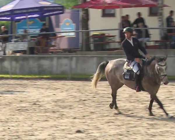 Reitturnier Landenhausen 2024
