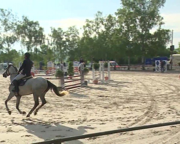 Reitturnier Landenhausen 2024