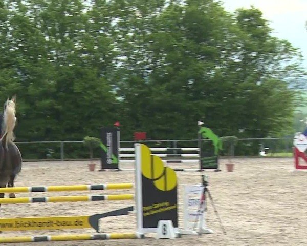 Reitturnier Landenhausen 2024