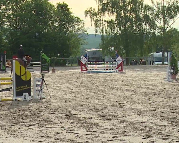 Reitturnier Landenhausen 2024