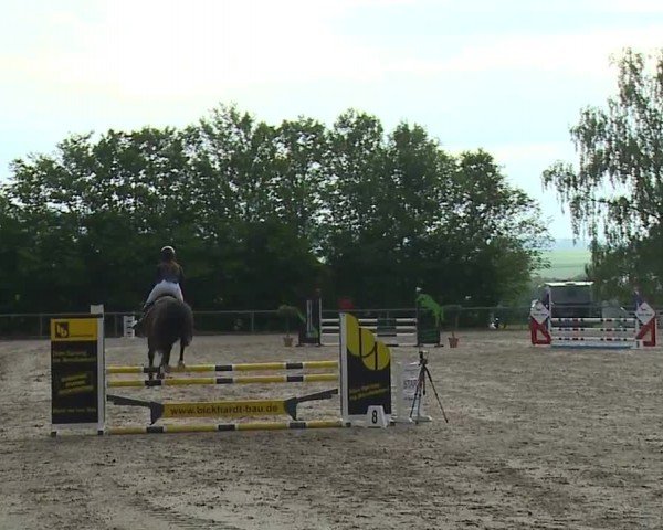 Reitturnier Landenhausen 2024