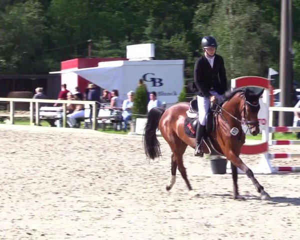 Reitturnier Kropp 2024