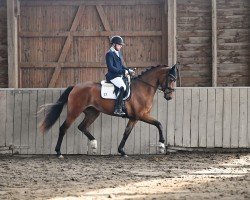broodmare Escolara S (Oldenburg, 2021, from Escolar)