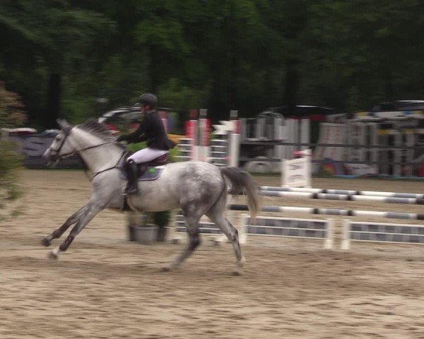 Reitturnier Iserlohn-Kalthof 2024