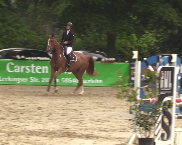 Reitturnier Iserlohn-Kalthof 2024